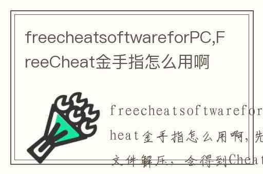 freecheatsoftwareforPC,FreeCheat金手指怎么用啊