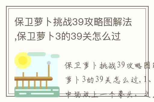 保卫萝卜挑战39攻略图解法,保卫萝卜3的39关怎么过