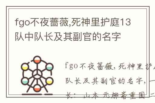 fgo不夜蔷薇,死神里护庭13队中队长及其副官的名字